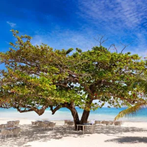 PE wicker dining set All weather garden furniture